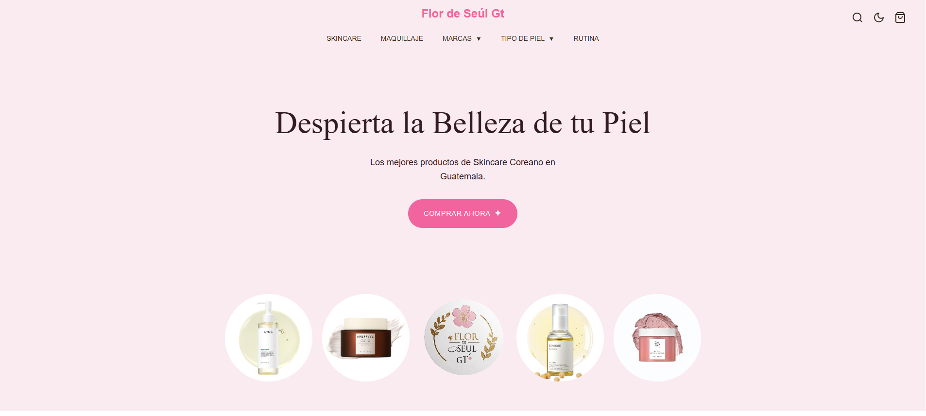 Banner del proyecto Flor de Seúl.